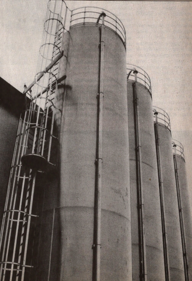geschi2
